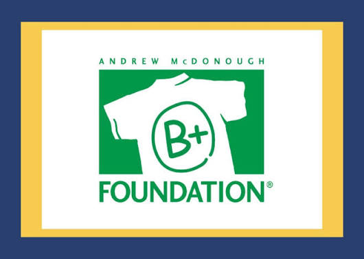 B+ Foundation logo